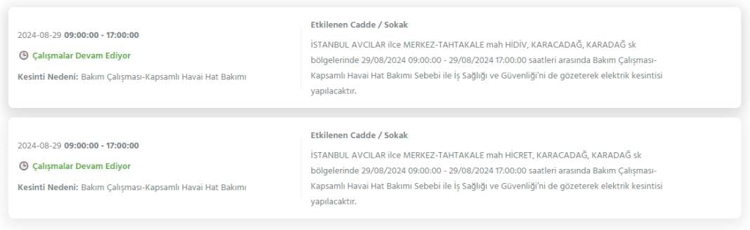 Gece yarısından itibaren başlıyor! İstanbul'un 20 ilçesinde 8 saati bulacak elektrik kesintisi 29